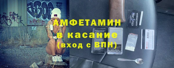 индика Богданович